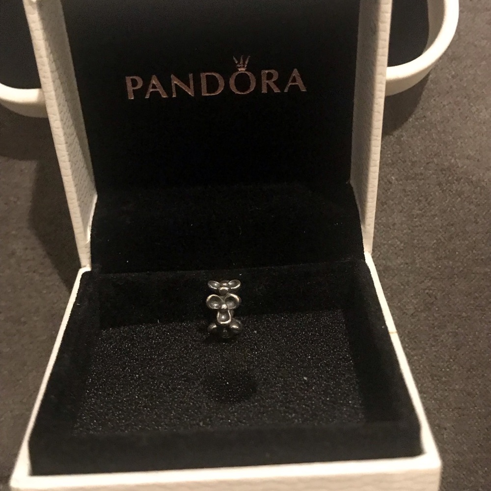 Pandora charm